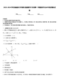 2023-2024学年湖南省长沙市雅礼集团数学八年级第一学期期末学业水平测试模拟试题含答案