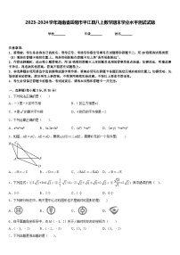 2023-2024学年湖南省岳阳市平江县八上数学期末学业水平测试试题含答案