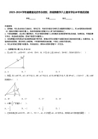 2023-2024学年福建省龙岩市永定区、连城县数学八上期末学业水平测试试题含答案