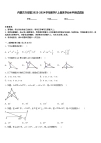 内蒙古兴安盟2023-2024学年数学八上期末学业水平测试试题含答案