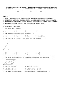 四川省乐山市2023-2024学年八年级数学第一学期期末学业水平测试模拟试题含答案