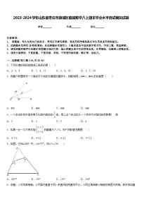 2023-2024学年山东省枣庄市薛城区临城数学八上期末学业水平测试模拟试题含答案