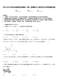 2023-2024学年山东省青岛市西海岸、平度、胶州数学八上期末学业水平测试模拟试题含答案