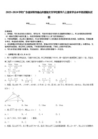 2023-2024学年广东省深圳市南山外国语文华学校数学八上期末学业水平测试模拟试题含答案