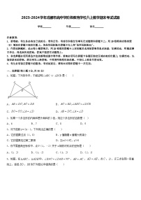 2023-2024学年成都市高中学阶段教育学校八上数学期末考试试题含答案