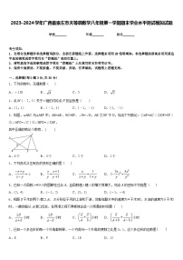 2023-2024学年广西省崇左市天等县数学八年级第一学期期末学业水平测试模拟试题含答案