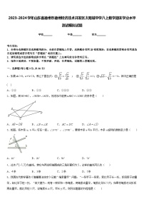 2023-2024学年山东省德州市德州经济技术开发区太阳城中学八上数学期末学业水平测试模拟试题含答案