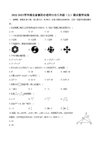 2022-2023学年湖北省襄阳市老河口市八年级（上）期末数学试卷(含解析）