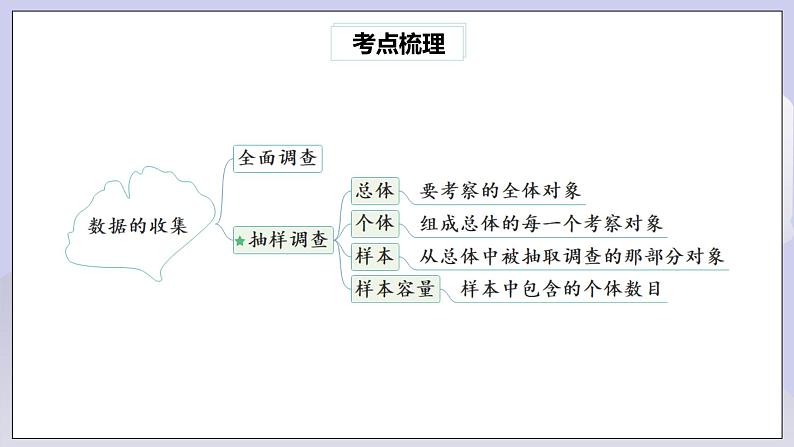 【核心素养】七年级下册10章热门考点整合应用  课件第3页