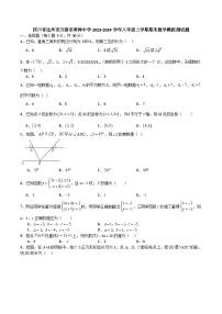 四川省达州市万源市黄钟中学2023-2024学年八年级上学期期末数学模拟测试题.