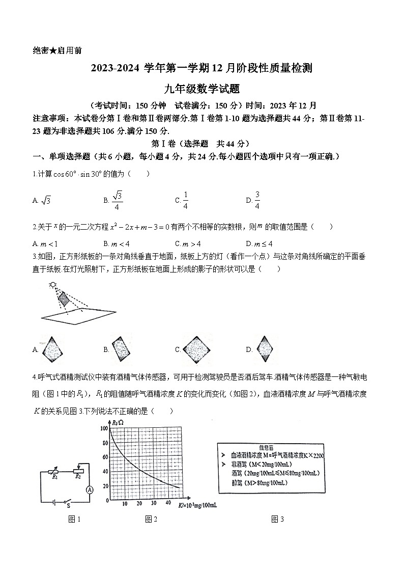 山东省枣庄市市中区2023-2024学年九年级上学期期末数学试题第1页