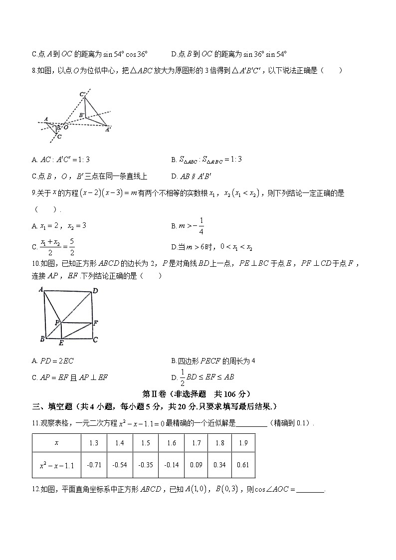 山东省枣庄市市中区2023-2024学年九年级上学期期末数学试题第3页