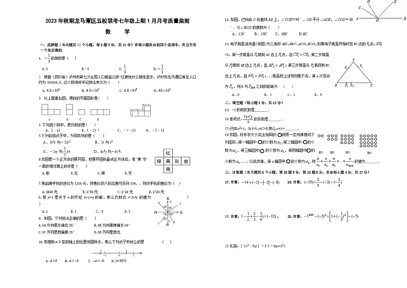 四川省泸州市龙马潭区+五校联考2023-2024学年七年级上学期1月月考数学试题01