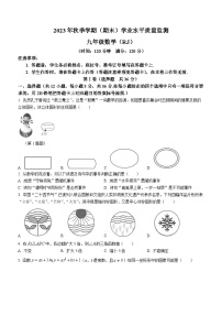 广西壮族自治区河池市凤山县2023-2024学年九年级上学期期末数学试题