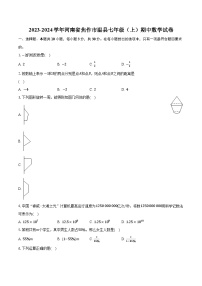 2023-2024学年河南省焦作市温县七年级（上）期中数学试卷（含解析）