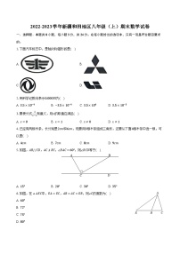 2022-2023学年新疆和田地区八年级（上）期末数学试卷（含解析）