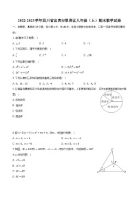 2022-2023学年四川省宜宾市翠屏区八年级（上）期末数学试卷（含解析）