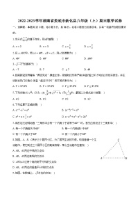 2022-2023学年湖南省娄底市新化县八年级（上）期末数学试卷（含解析）