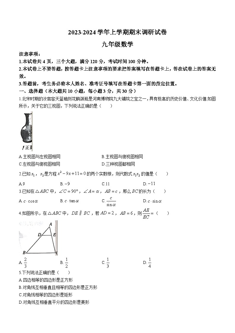 河南省平顶山市舞钢市2023-2024学年九年级上学期期末数学试题第1页