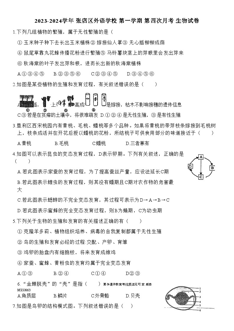 广东省汕头市潮阳区关埠镇2023-2024学年九年级上学期期末数学试题01