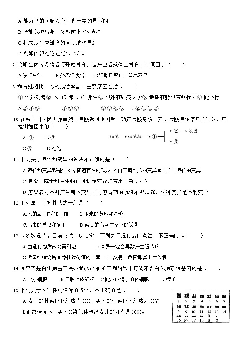 广东省汕头市潮阳区关埠镇2023-2024学年九年级上学期期末数学试题02