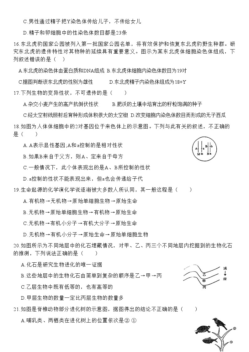 广东省汕头市潮阳区关埠镇2023-2024学年九年级上学期期末数学试题03