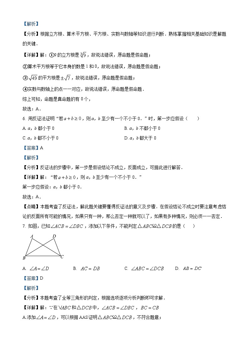 福建省南安市实验中学2023-2024学年八年级上学期月考数学试题03