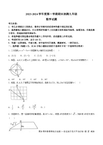 黑龙江省大庆市杜尔伯特蒙古族自治县2023-2024学年九年级上学期期末数学试题