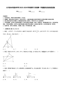 大兴安岭市重点中学2023-2024学年数学八年级第一学期期末达标测试试题含答案