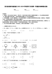 四川省成都市高新南区2023-2024学年数学八年级第一学期期末调研模拟试题含答案