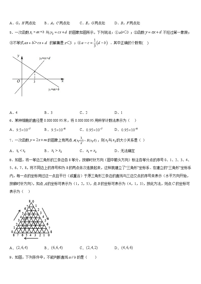 四川省成都市七中学育才学校2023-2024学年数学八年级第一学期期末预测试题含答案第2页