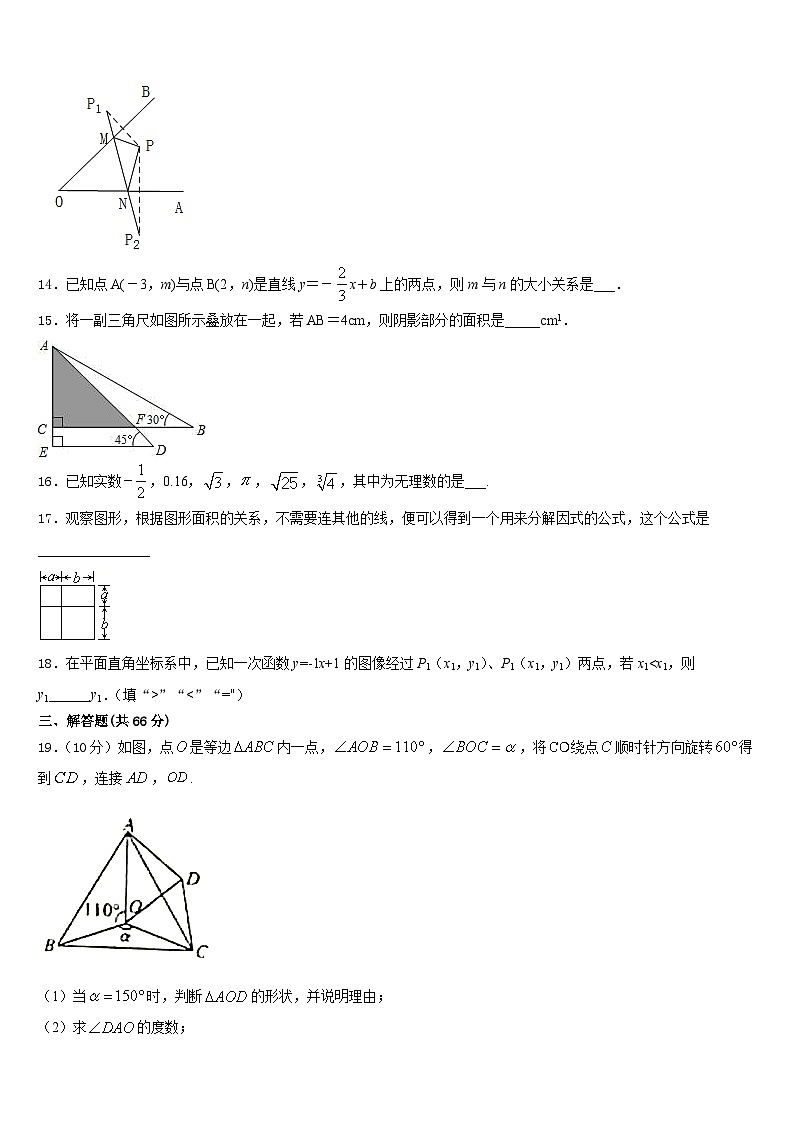 四川省成都市石室中学2023-2024学年数学八年级第一学期期末复习检测模拟试题含答案第3页