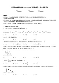 四川省成都市温江县2023-2024学年数学八上期末统考试题含答案