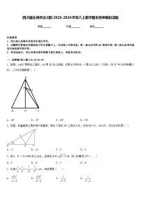 四川省达州市达川区2023-2024学年八上数学期末统考模拟试题含答案