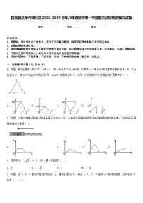 四川省达州市通川区2023-2024学年八年级数学第一学期期末达标检测模拟试题含答案