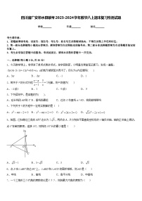 四川省广安邻水县联考2023-2024学年数学八上期末复习检测试题含答案