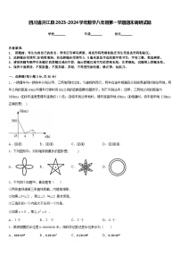 四川省开江县2023-2024学年数学八年级第一学期期末调研试题含答案