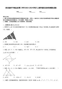 四川省遂宁市船山区第二中学2023-2024学年八上数学期末达标检测模拟试题含答案