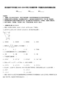 四川省遂宁市市城区2023-2024学年八年级数学第一学期期末达标检测模拟试题含答案