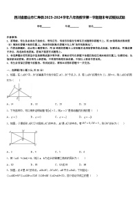 四川省眉山市仁寿县2023-2024学年八年级数学第一学期期末考试模拟试题含答案