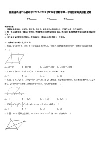 四川省泸州市马溪中学2023-2024学年八年级数学第一学期期末经典模拟试题含答案