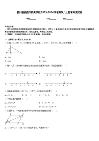 四川省西昌市航天学校2023-2024学年数学八上期末考试试题含答案