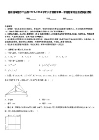 四川省绵阳市三台县2023-2024学年八年级数学第一学期期末综合测试模拟试题含答案