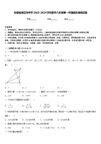 安徽亳州花沟中学2023-2024学年数学八年级第一学期期末调研试题含答案