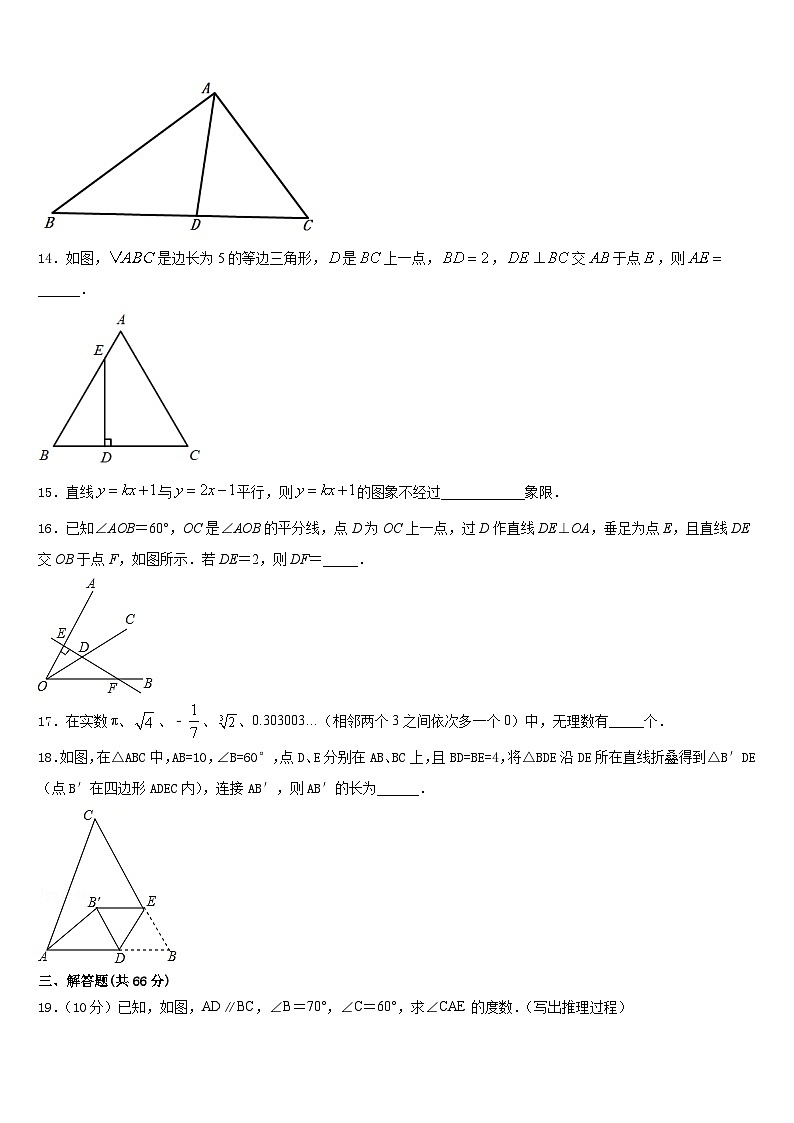安徽亳州花沟中学2023-2024学年数学八年级第一学期期末调研试题含答案第3页