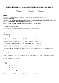 安徽省安庆市怀宁县2023-2024学年八年级数学第一学期期末达标测试试题含答案