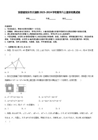 安徽省安庆市太湖县2023-2024学年数学八上期末经典试题含答案