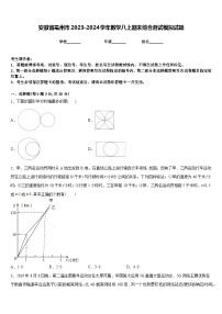 安徽省亳州市2023-2024学年数学八上期末综合测试模拟试题含答案