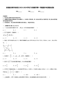 安徽省合肥市包河区2023-2024学年八年级数学第一学期期末考试模拟试题含答案