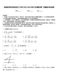 安徽省合肥市包河区四十八中学2023-2024学年八年级数学第一学期期末考试试题含答案